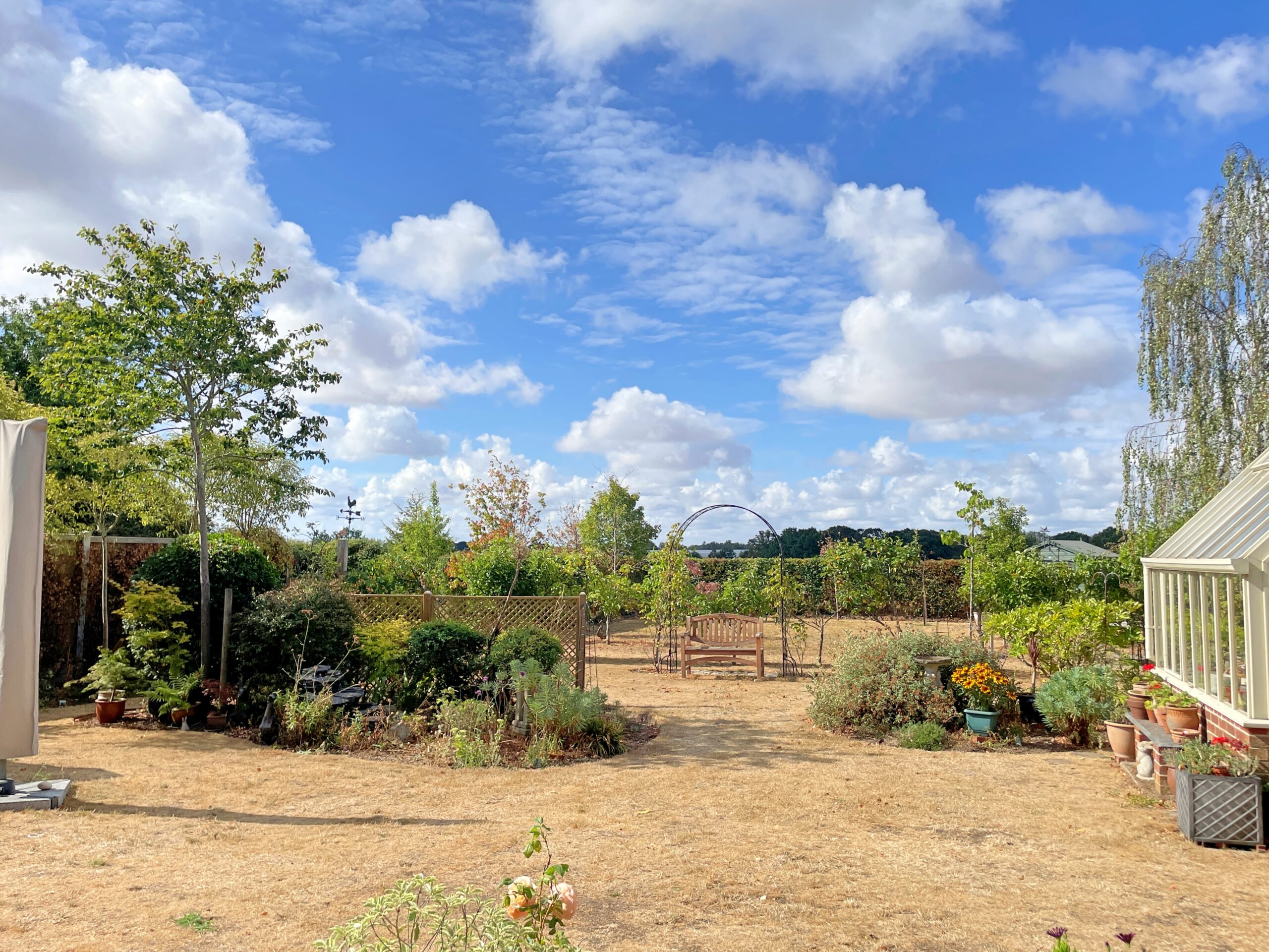 Weylands garden2